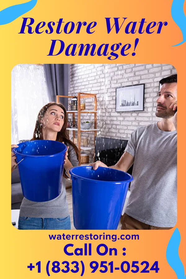 water restoration Titan Flood Cleanup Co Glen Wilton